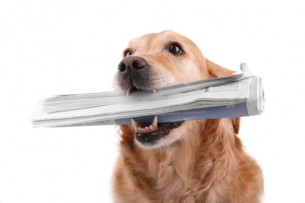 Сказочный бал Золушки на арене Мегаспорт