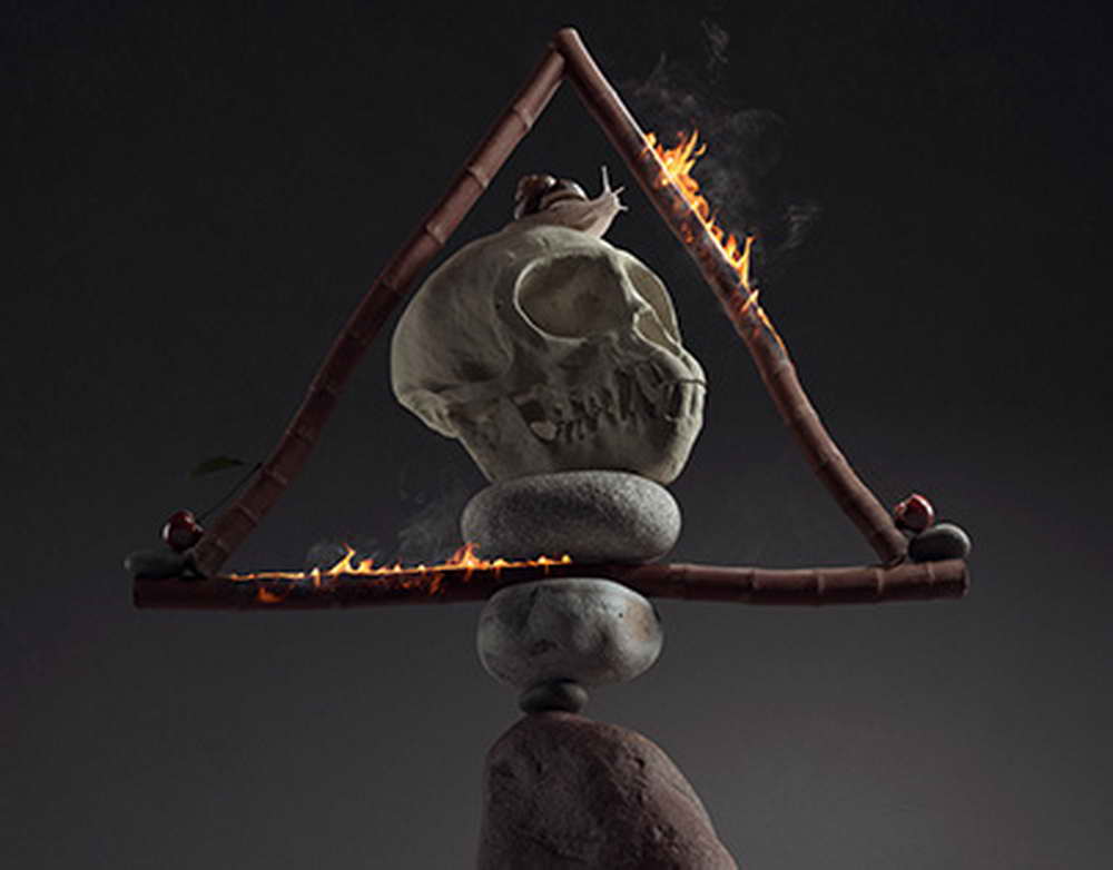 Проректора МГУ отправили под домашний арест