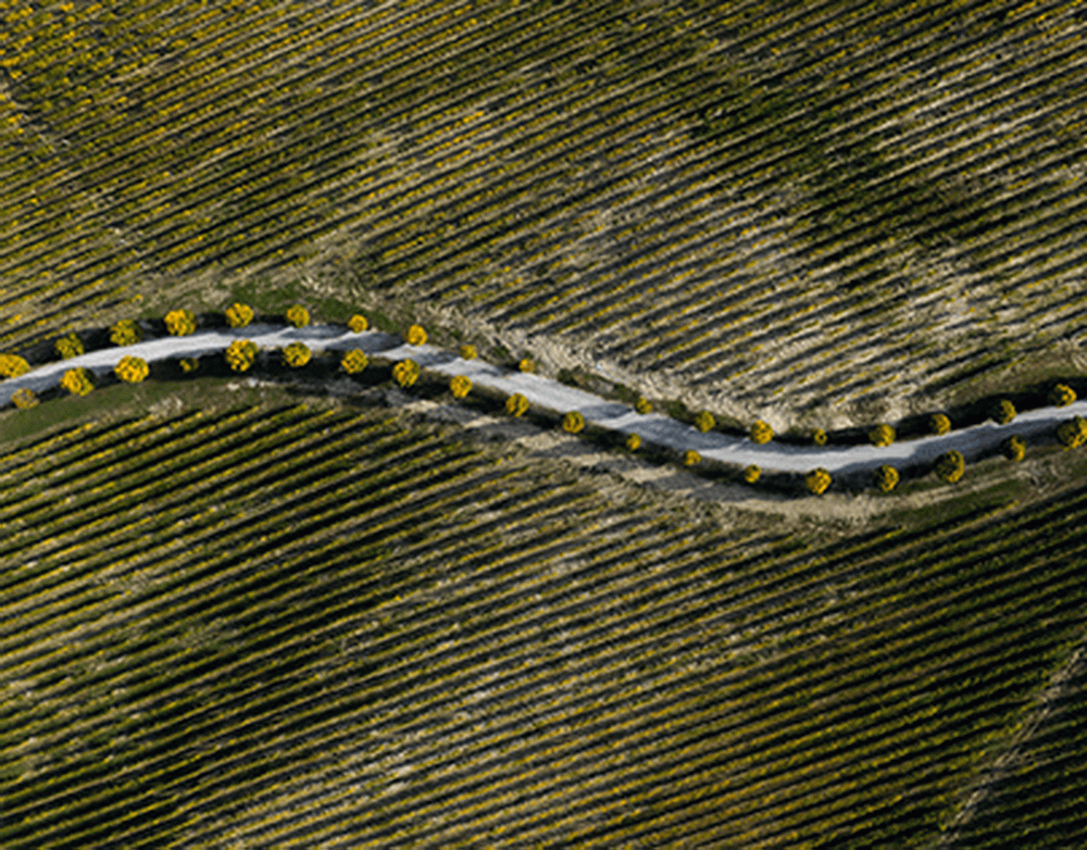 Kutta Technologies представляет KTAC 2.0: следующее поколение тактического управления для беспилотных систем