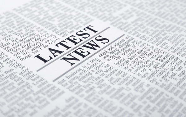 В Череповце прошел праздник для любителей домашних животных